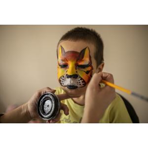 Обучение аквагриму онлайн пакет "С обратной связью" с нуля до профи