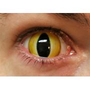 Контактные линзы-склеры Желтые кошачьи глаза