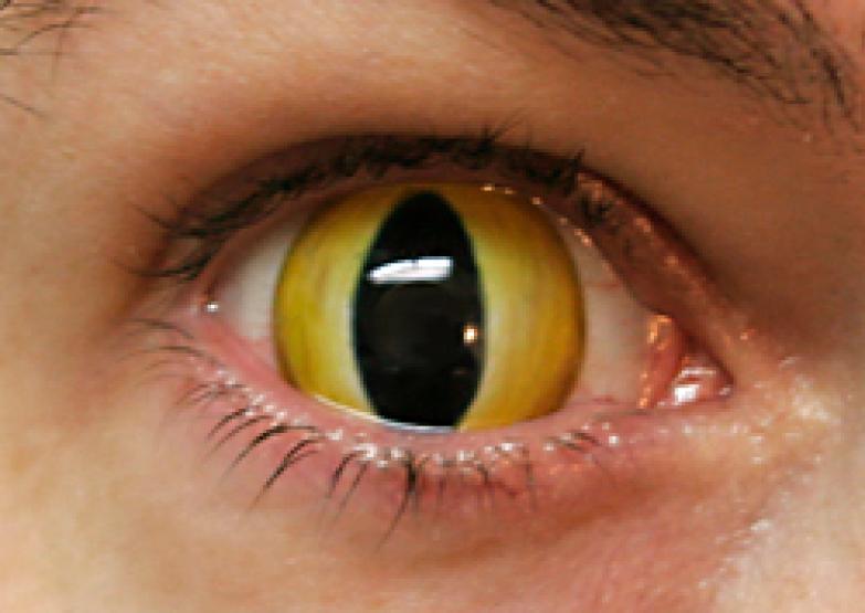 Контактные линзы-склеры Желтые кошачьи глаза фото 